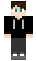 Hedgehog6907 minecraft skin