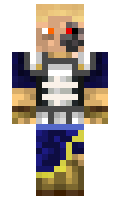 c996b9bc998a1e minecraft skin