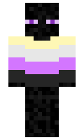 EnbyPower minecraft skin