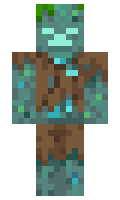 littleleotom minecraft skin