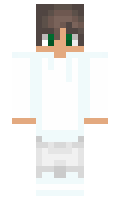 RENDIIX minecraft skin