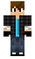 Netwin minecraft skin