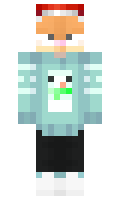 c9d76c18396d07 minecraft skin