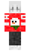 Wiki2011 minecraft skin