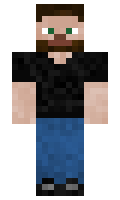 w1111 minecraft skin