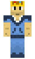 Zark minecraft skin