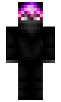 ter minecraft skin