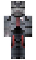 WitchOfEndor02 minecraft skin