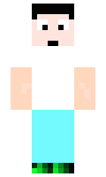 roo107 minecraft skin