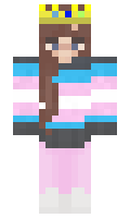 ttvsarcastic minecraft skin