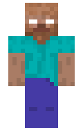 vlogger123 minecraft skin