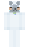 cb2b09109fa49e minecraft skin