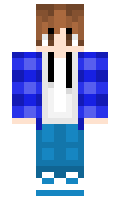 cb2ce61a770141 minecraft skin