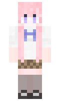 FR2335 minecraft skin