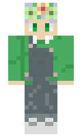 DragonHeartMage minecraft skin