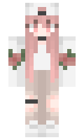 cb8b833e2752ee minecraft skin
