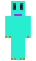 Flatterpelle minecraft skin