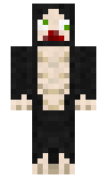 Arara minecraft skin