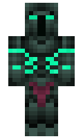 Skellin minecraft skin