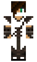Archerleo7 minecraft skin