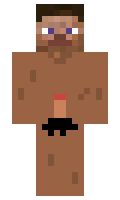 cbdfd536a1cc4f minecraft skin