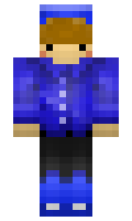 Piciti minecraft skin