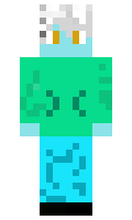Furduc minecraft skin