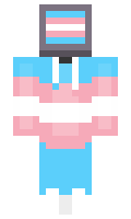 xraylay minecraft skin