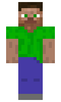 cc3eb69fcd28fc minecraft skin