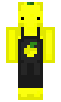 cc48b44cca199f minecraft skin