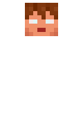 Geysermc minecraft skin