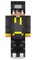 polnii minecraft skin