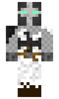 cc8ec5020a87f7 minecraft skin