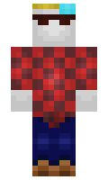 ccb06e658997a7 minecraft skin