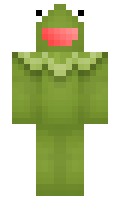 Peradoxm minecraft skin