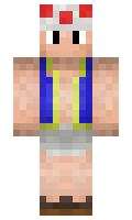 Trondwiden minecraft skin