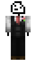 ccf2de2248bb9d minecraft skin