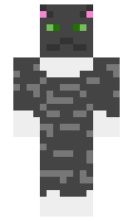 cd156201e5f612 minecraft skin