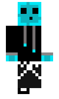 Npro minecraft skin