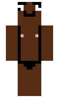 cd3aec6ba27a6d minecraft skin