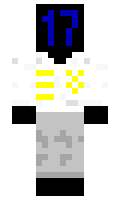 17dimensional minecraft skin