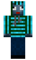 zEfN minecraft skin