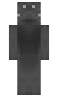 dclfin minecraft skin