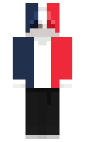 Clem91200 minecraft skin