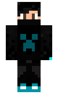 Arctic891 minecraft skin