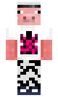 vanway minecraft skin