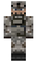 3887 minecraft skin