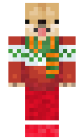 ce1806faad53aa minecraft skin