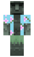 ZWAZKANARUCHY minecraft skin
