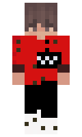ce220534fbb769 minecraft skin